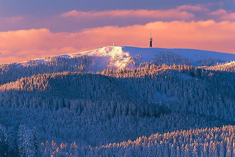 Aparthotel Kupferkanne Тодтмос Екстер'єр фото